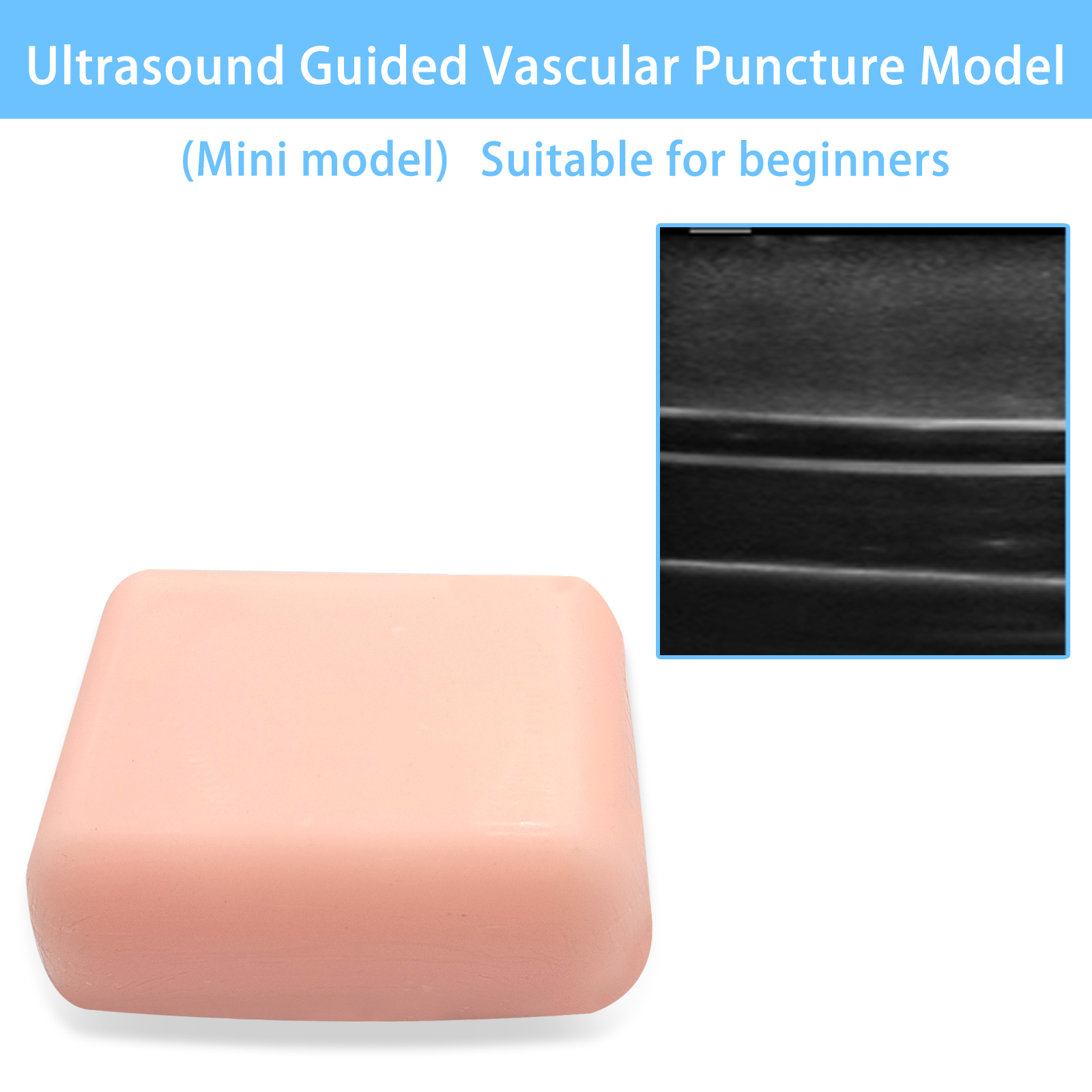 Medical Lab Ultrasound - Ultrasound guided vessel puncture phantom,arteriovenous vessel