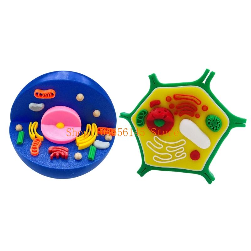 Anatomical Animal and Plant Ce - Medical Lab And Science 评论和价格